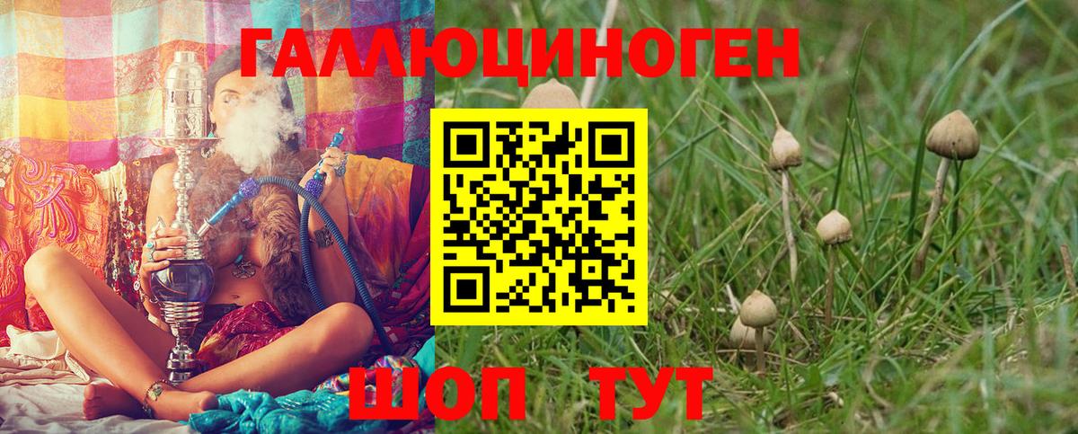 Михайловск  где купить наркоту  Вход с VPN  Псилоцибиновые грибы Cubensis  Псилоцибиновые грибы мухоморы 