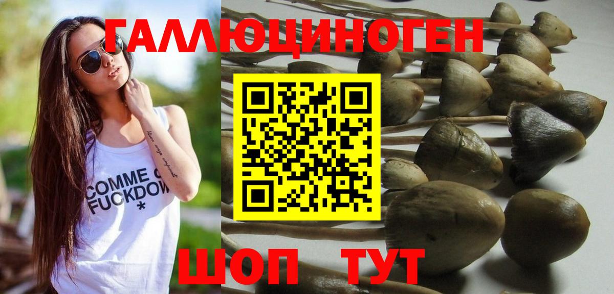 Галлюциногенные грибы ЛСД Михайловск